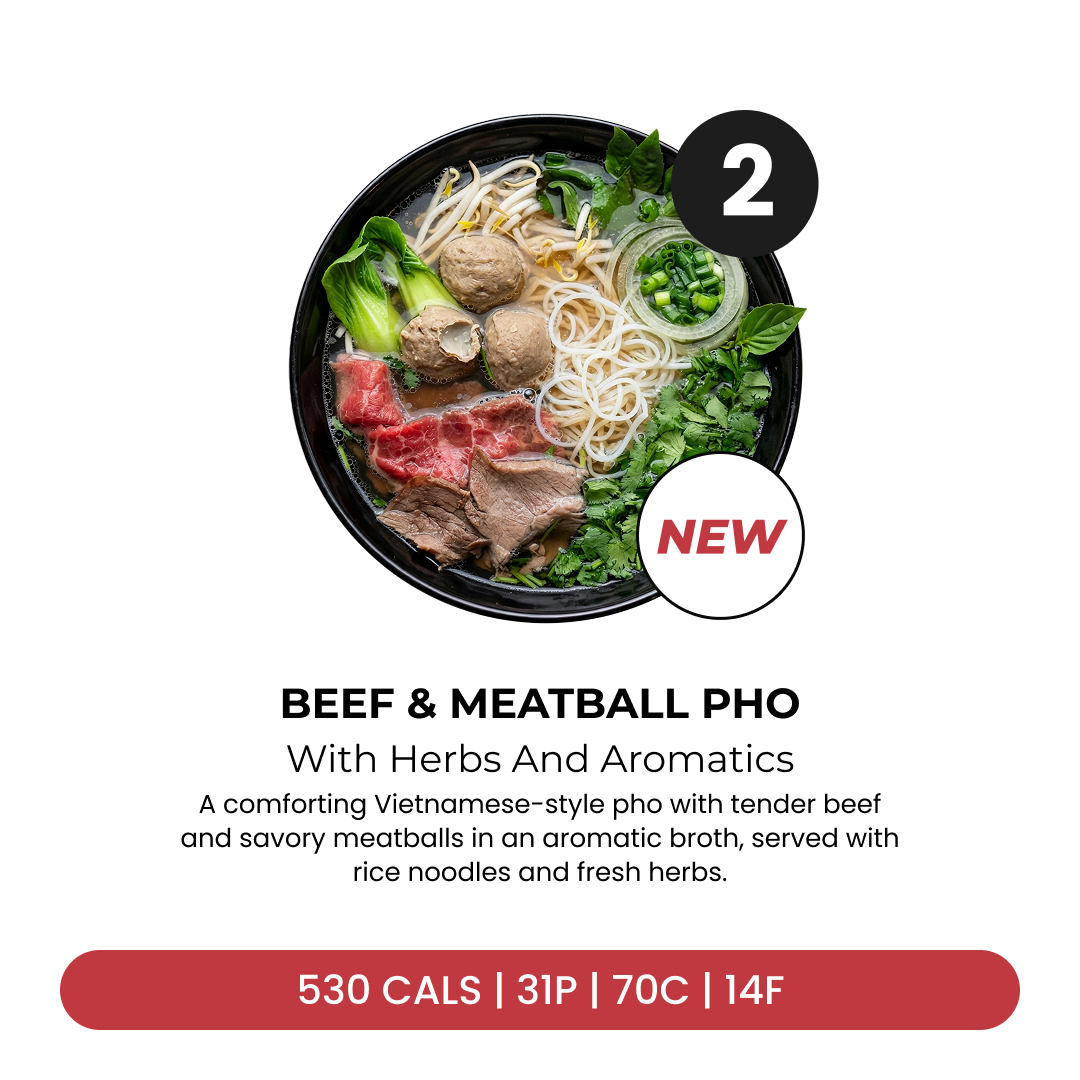 6 Meal Plan